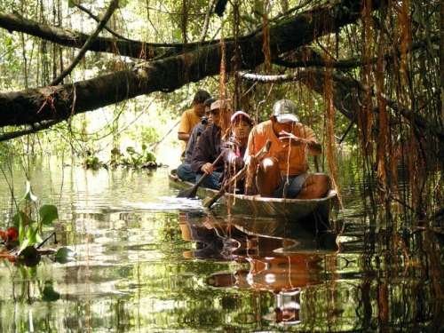 Aguajales de Santa Elena