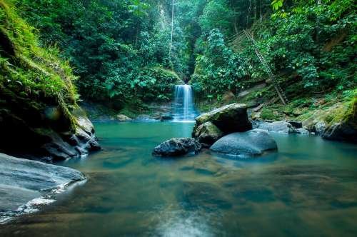 Caminando las Cataratas de Pishurayacu