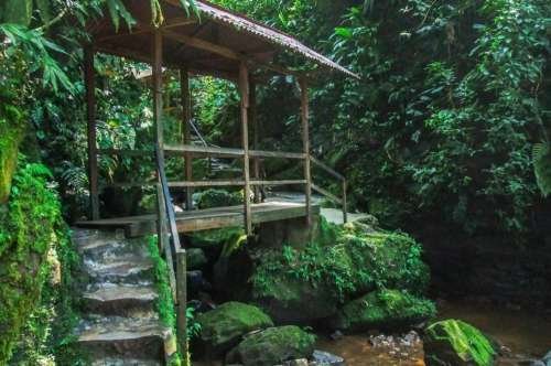 Camino a las cataratas