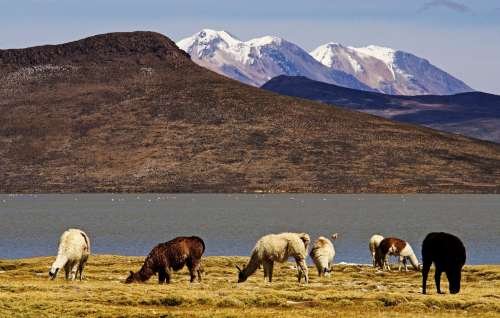 eserva de salinas y aguada blanca