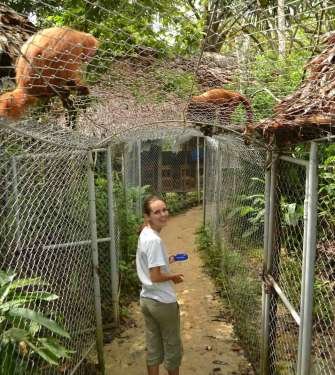 IQUITOS CULTURA Y BIODIVERSIDAD