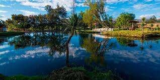 TOURS COLPA Y LLACANORA