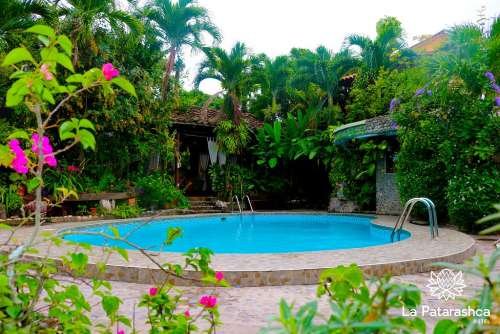 vistas de la piscina rodeada de naturaleza- Hotel Patarashca