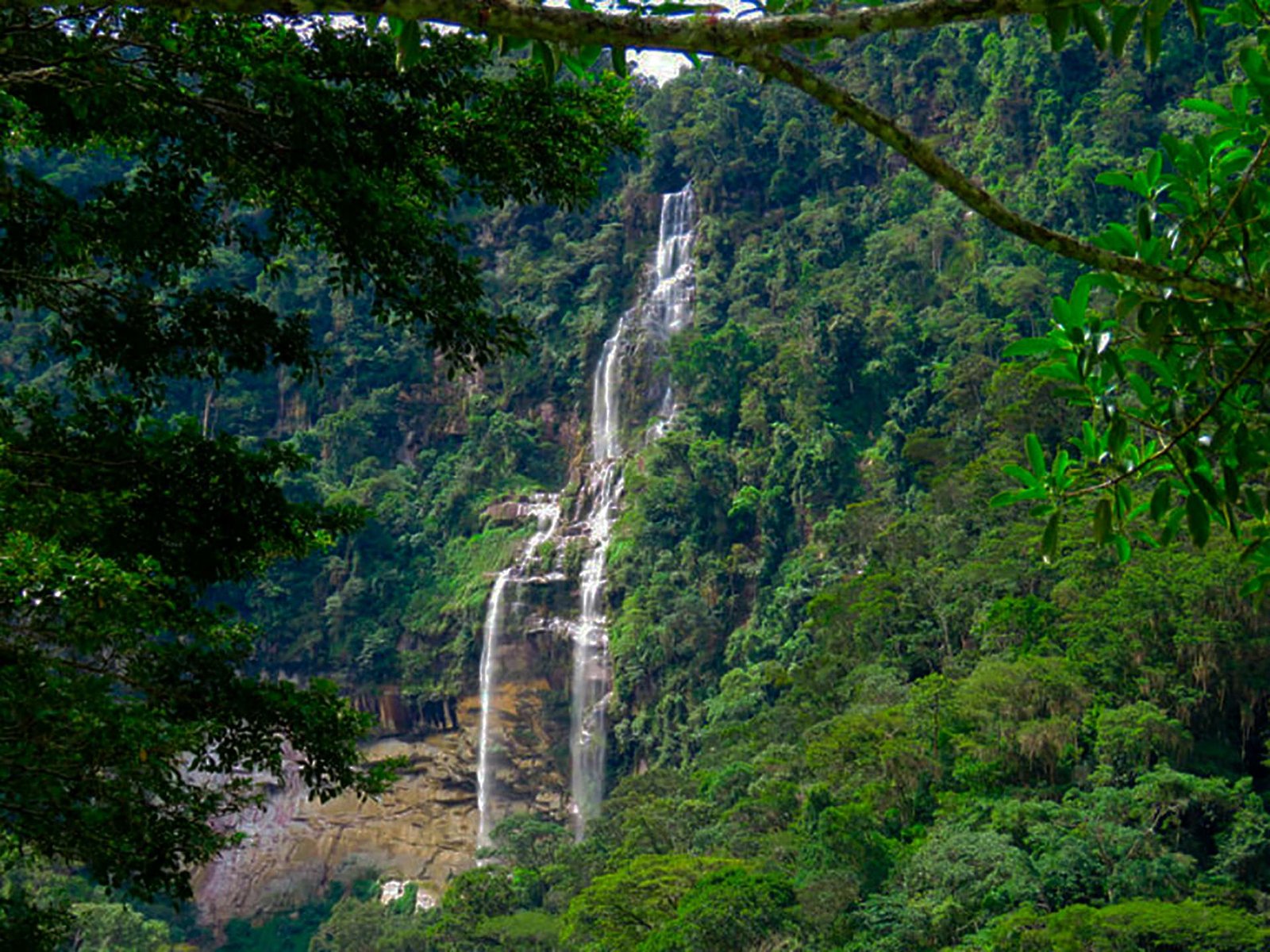 Cataratas de Ahuashiyacu