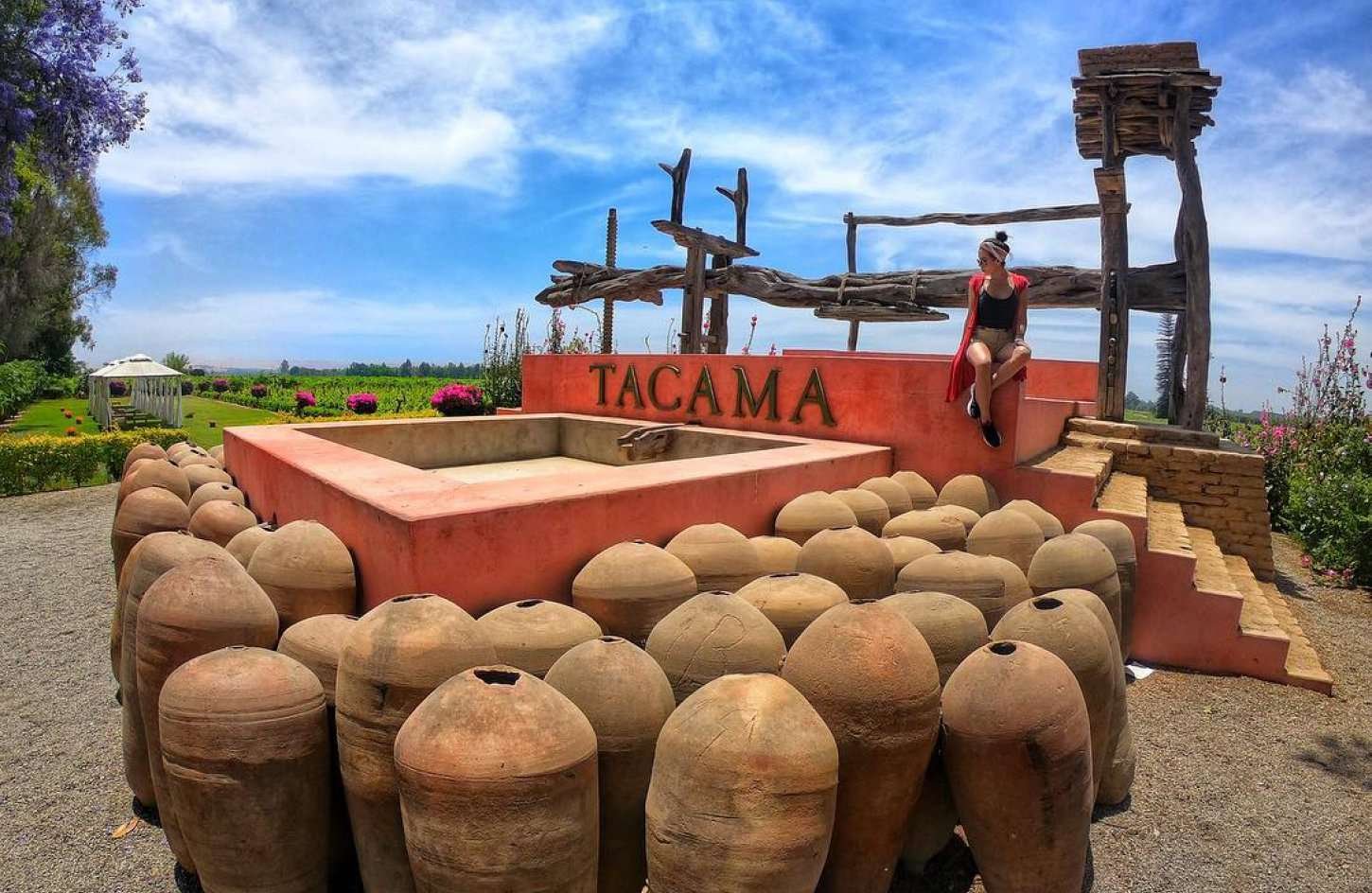 City Tour Ica - Tour Bodegas