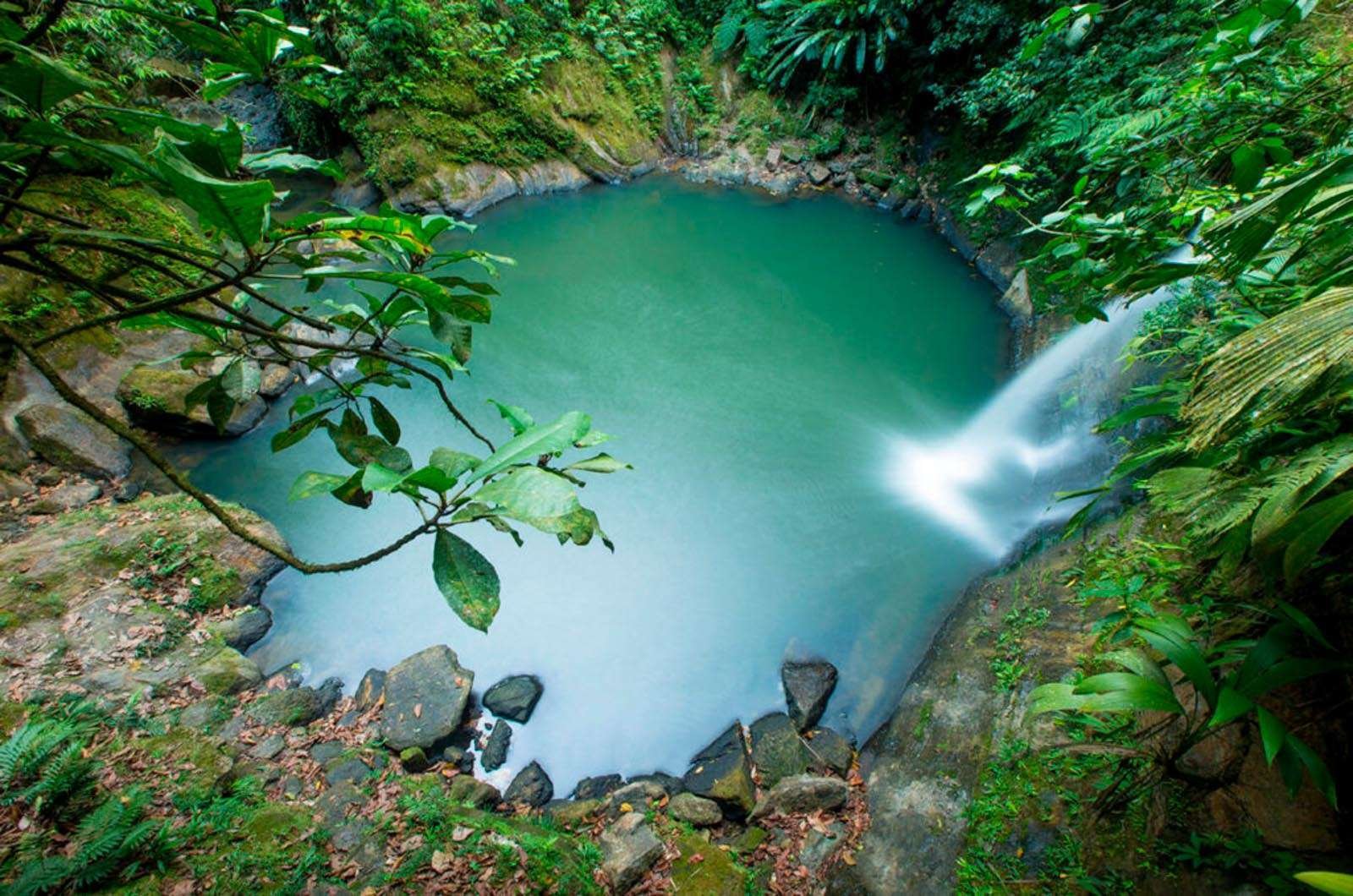Excursión a las Cataratas de Carpishuyacu (Servicio Privado)