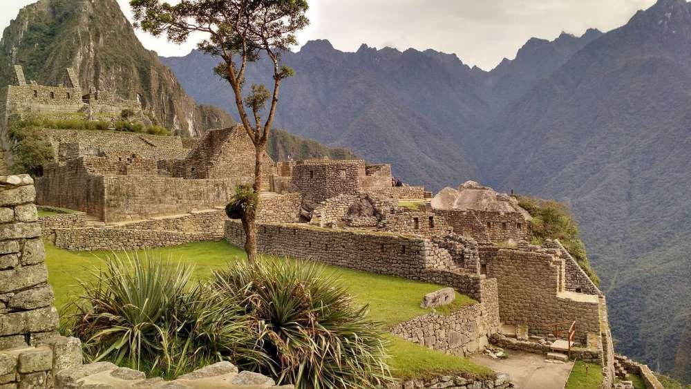 Excursión Machu Picchu (Estudiante Extranjero)