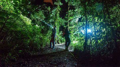 Excursión nocturna  por la selva Amazónica 