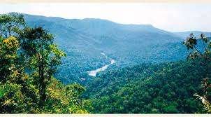 Parque Nacional Yanachaga