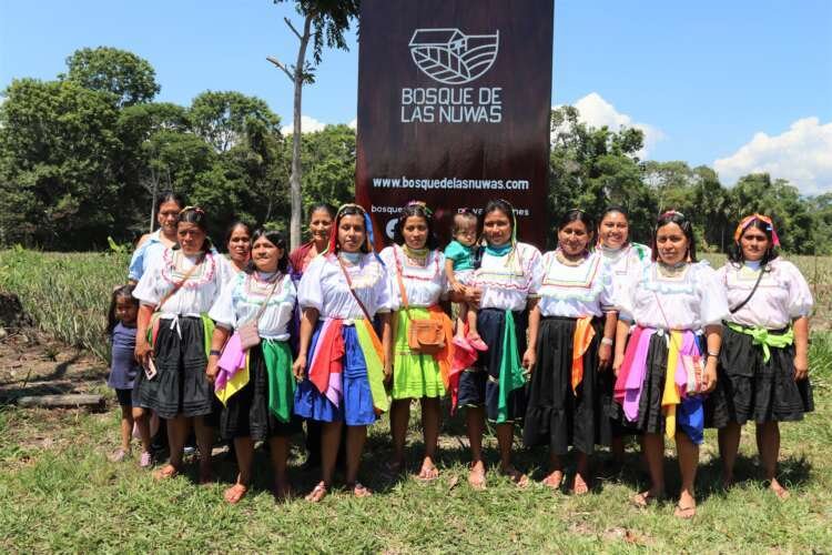 El Bosque de las Nuwas