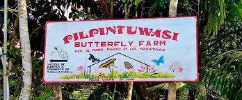 Tour full day Iquitos cultura y biodiversidad