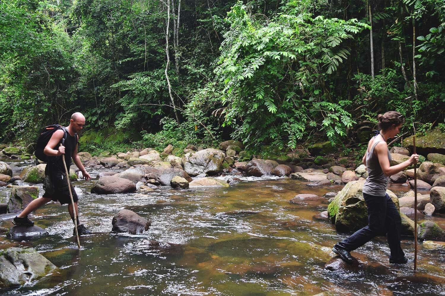 Trekking por el Alto Shilcayo